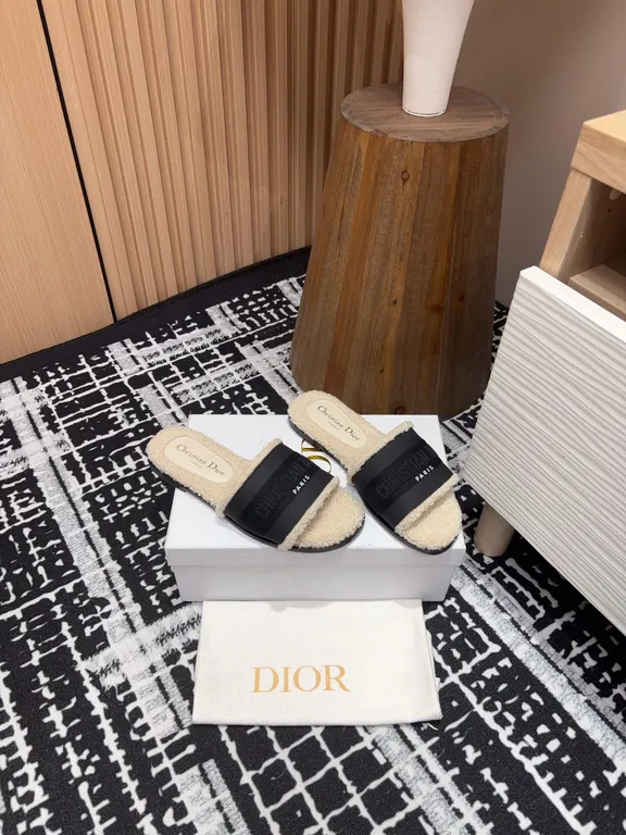 Dior Shoe 